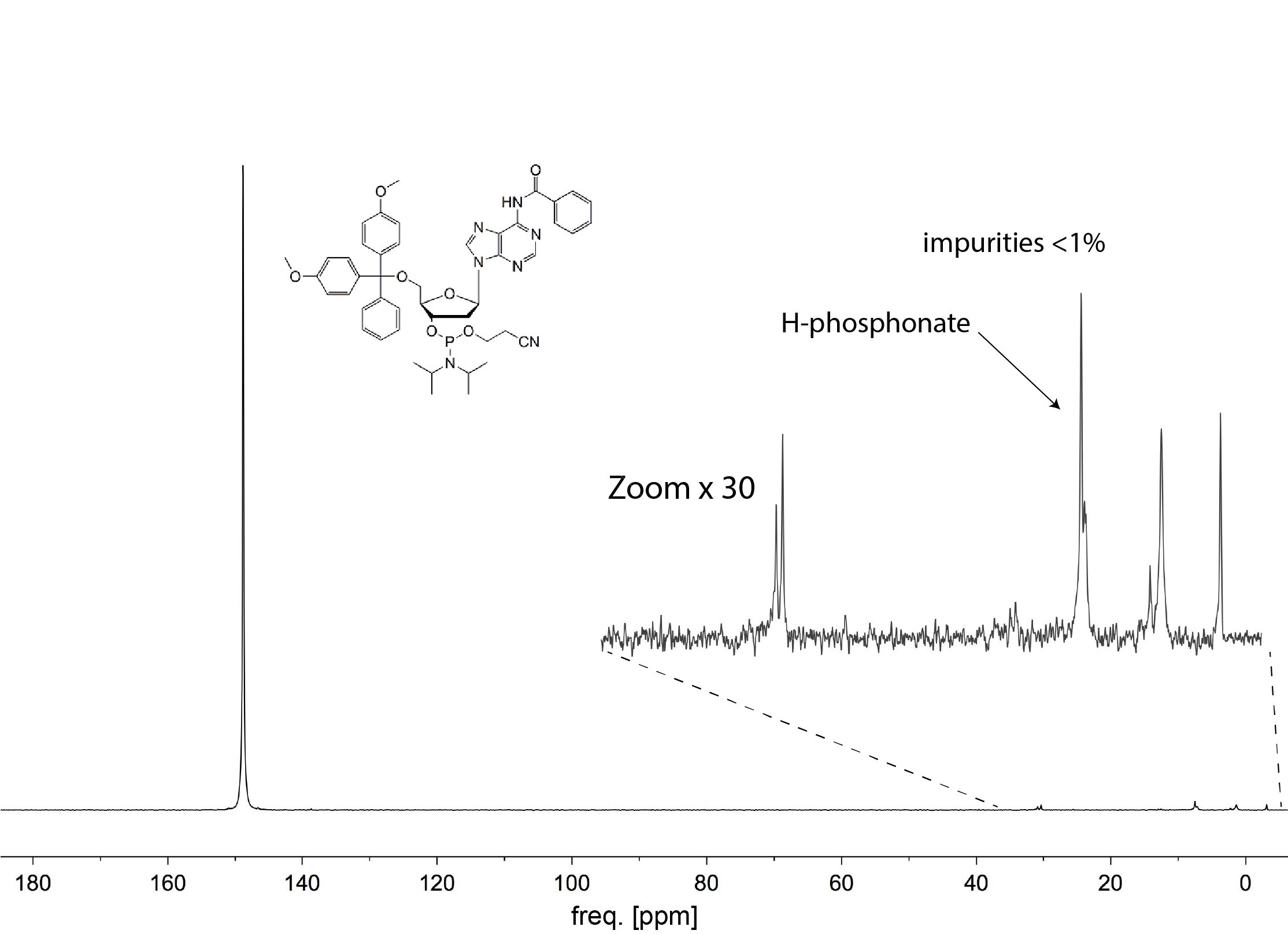 11-31P-brochure-fromAi